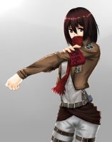 attack_on_titan_-_mikasa_20130914_098.jpg